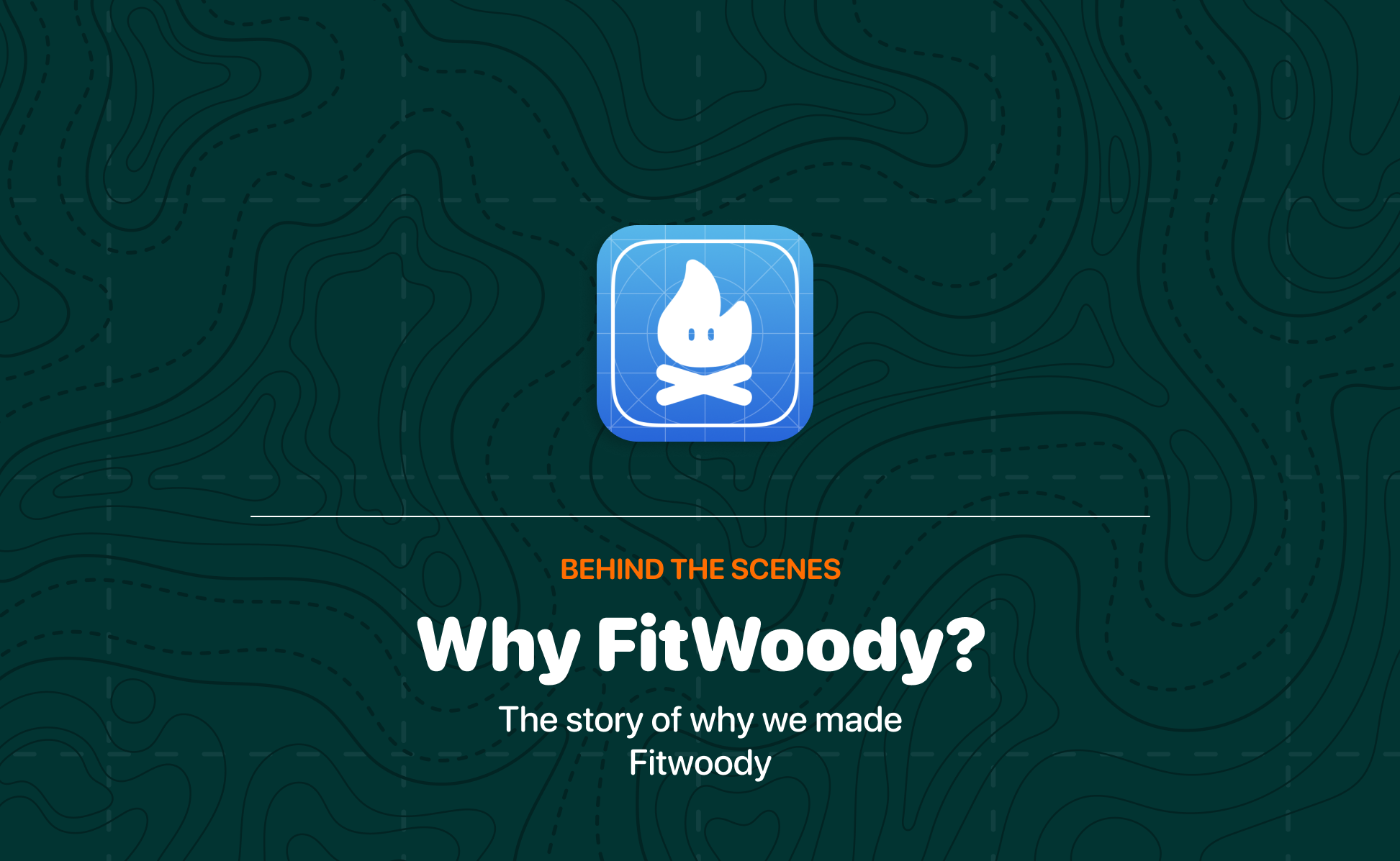 Why did we create FitWoody?